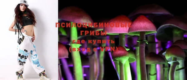 прущие крисы Алексин